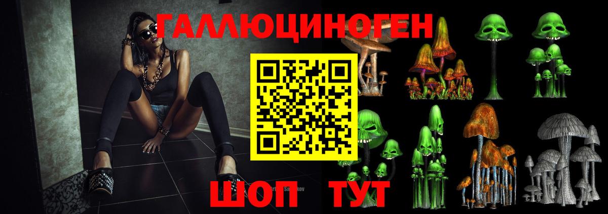 купить наркотики цена  Галлюциногенные грибы GOLDEN TEACHER  Вход с VPN  Галлюциногенные грибы мицелий  Россошь 